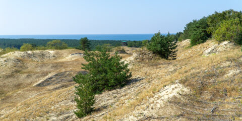 Curonian Spit