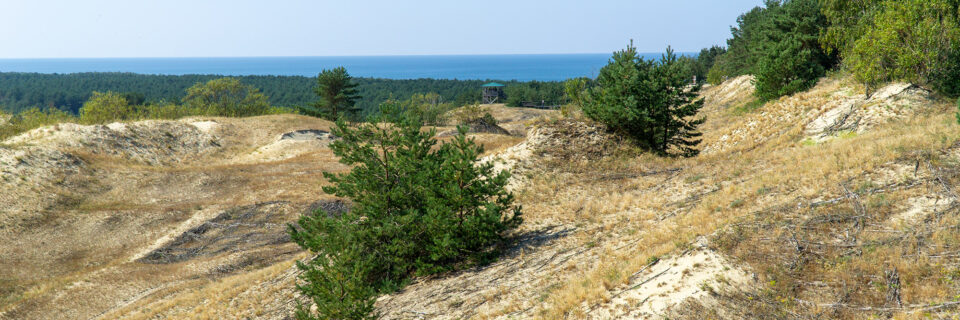 Curonian Spit