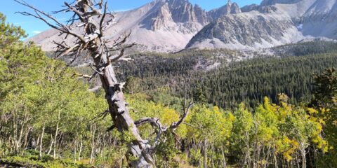 Great Basin National Park