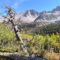 Great Basin National Park