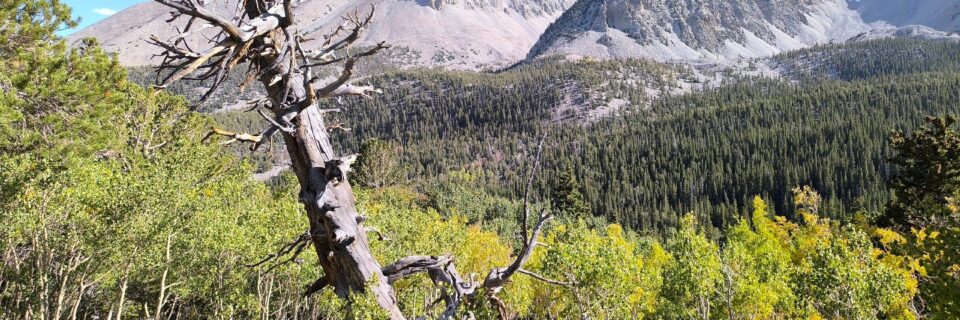 Great Basin National Park