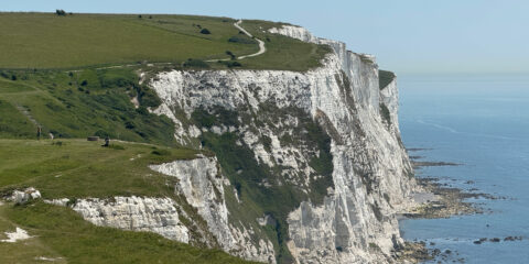 Dover