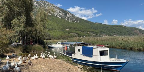 Akyaka